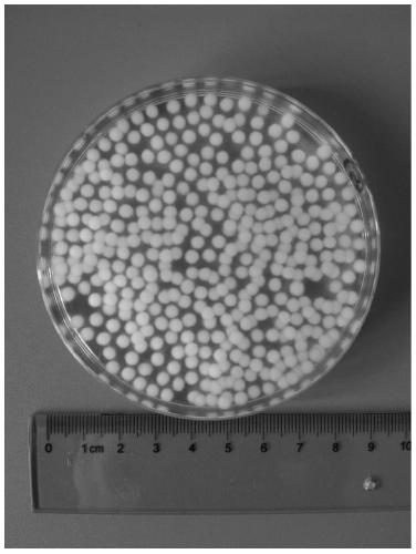 A method for preparing cellulose fiber balls