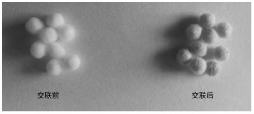 A method for preparing cellulose fiber balls