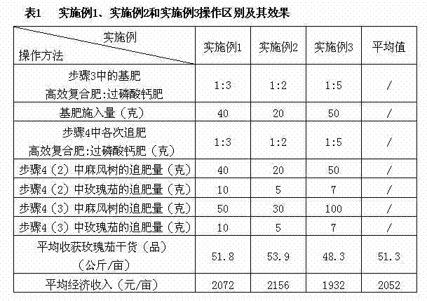 Method for interplanting roselle and jatropha