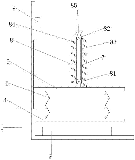 Rana spinosa feeding device