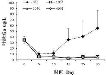 Simulation method for removing submerged plant by using filter feeder