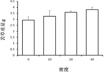 Simulation method for removing submerged plant by using filter feeder