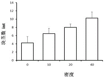 Simulation method for removing submerged plant by using filter feeder