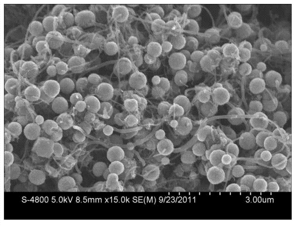 Spinel ferrite/CNx nanocomposite and preparation method thereof