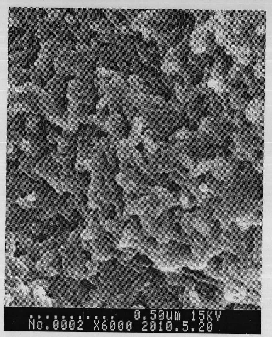 Bacillus cereus DA3 strain and preparation method and application thereof