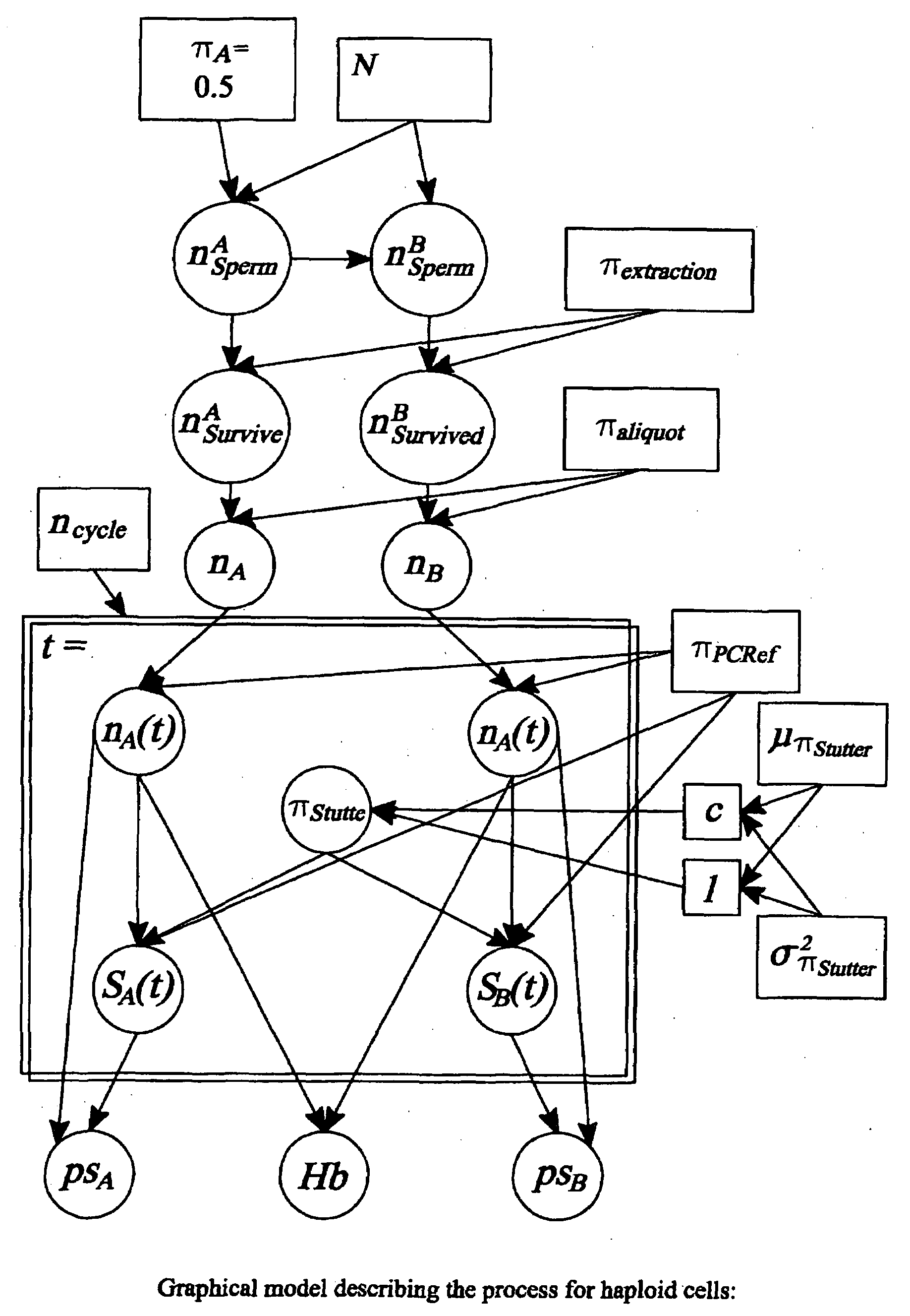 Method of optimizing parameters in the entire process of analysing a DNA containing sample and method of modeling said process