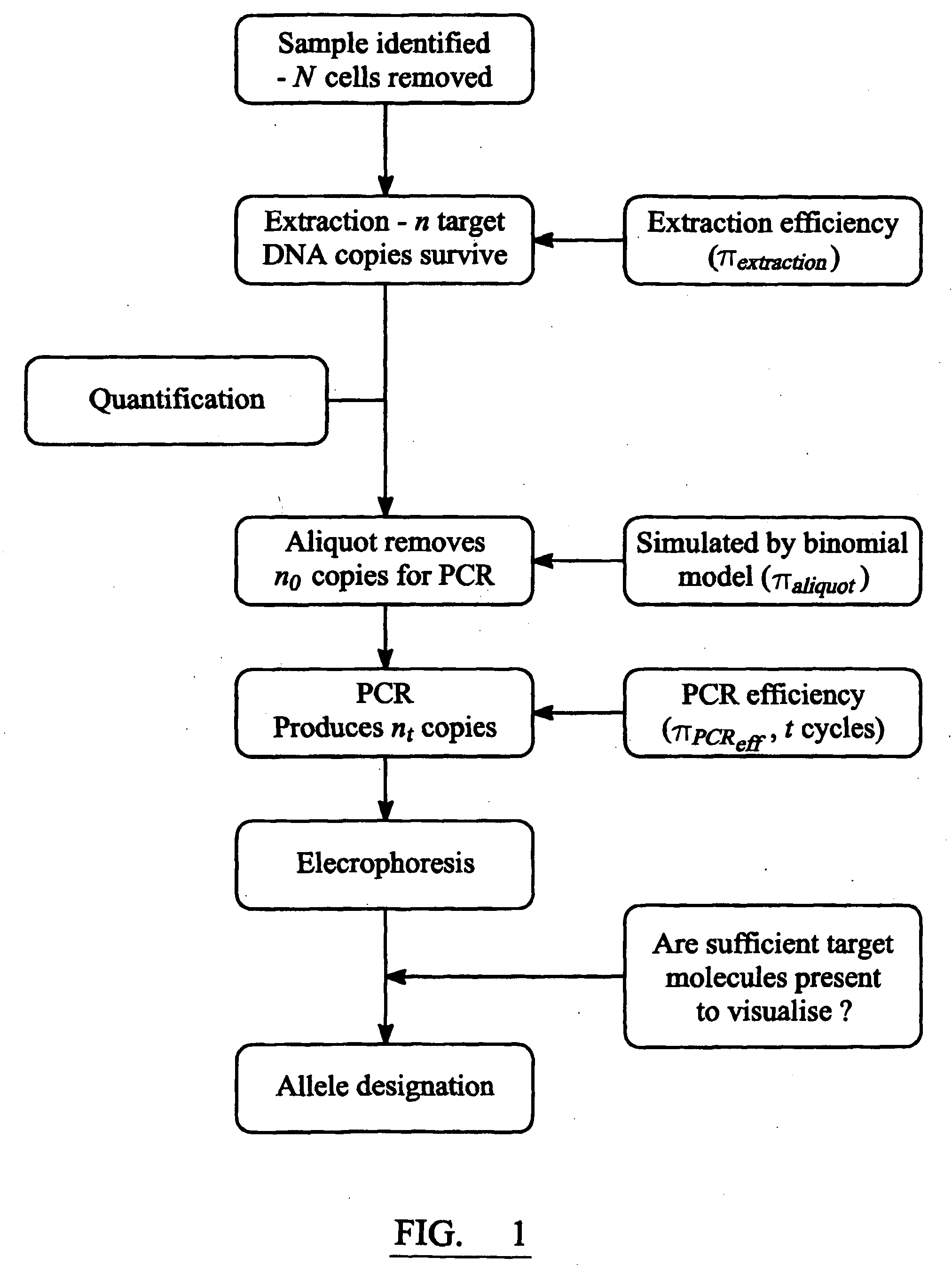 Method of optimizing parameters in the entire process of analysing a DNA containing sample and method of modeling said process