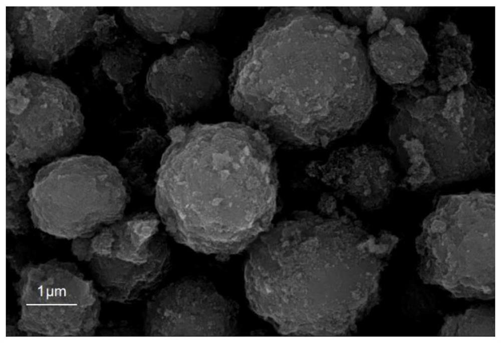 Rare earth metal or transition metal doped lithium titanium phosphate/carbon composite material and preparation method and application thereof