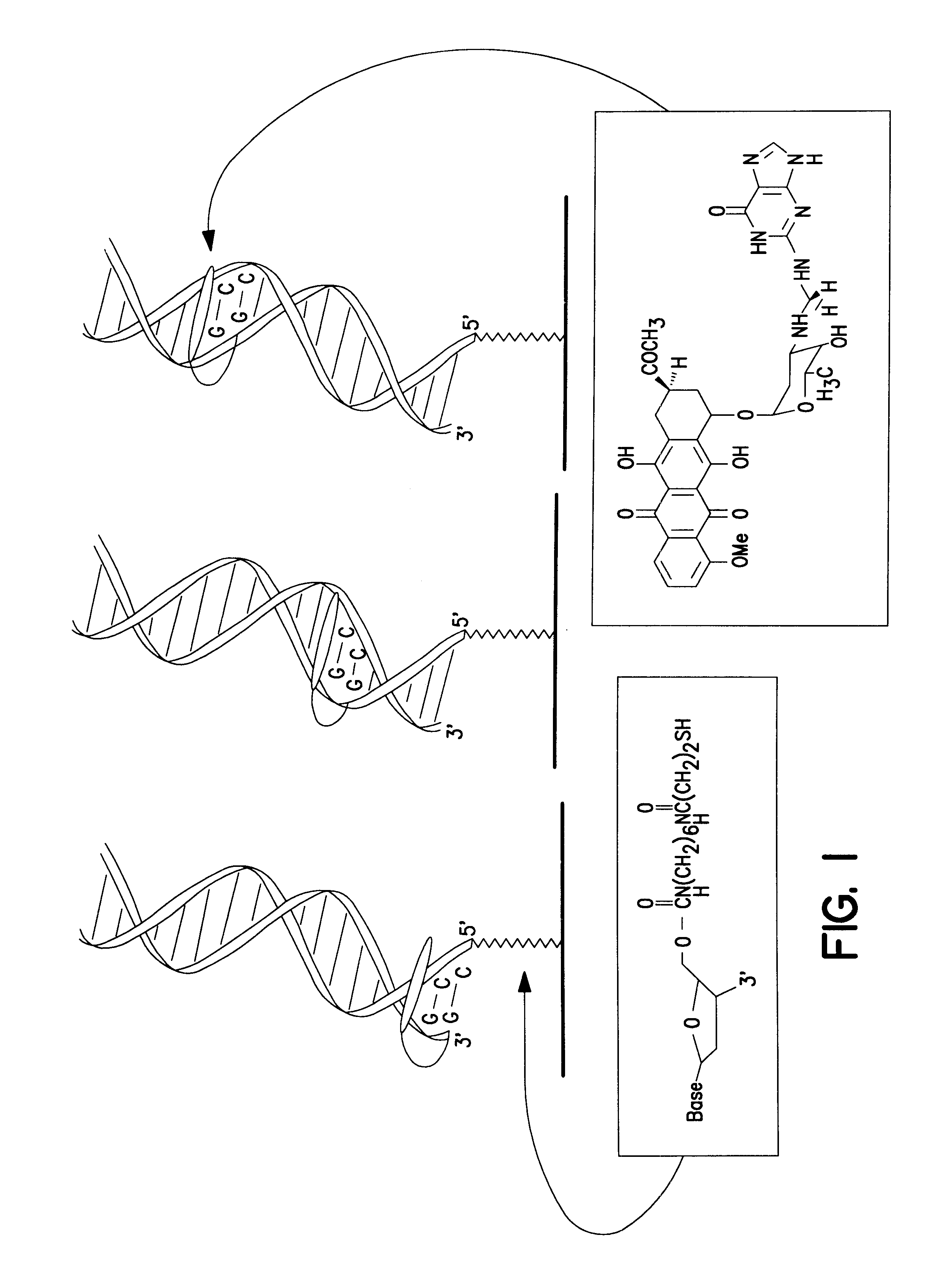 Electrochemical sensor using intercalative, redox-active moieties