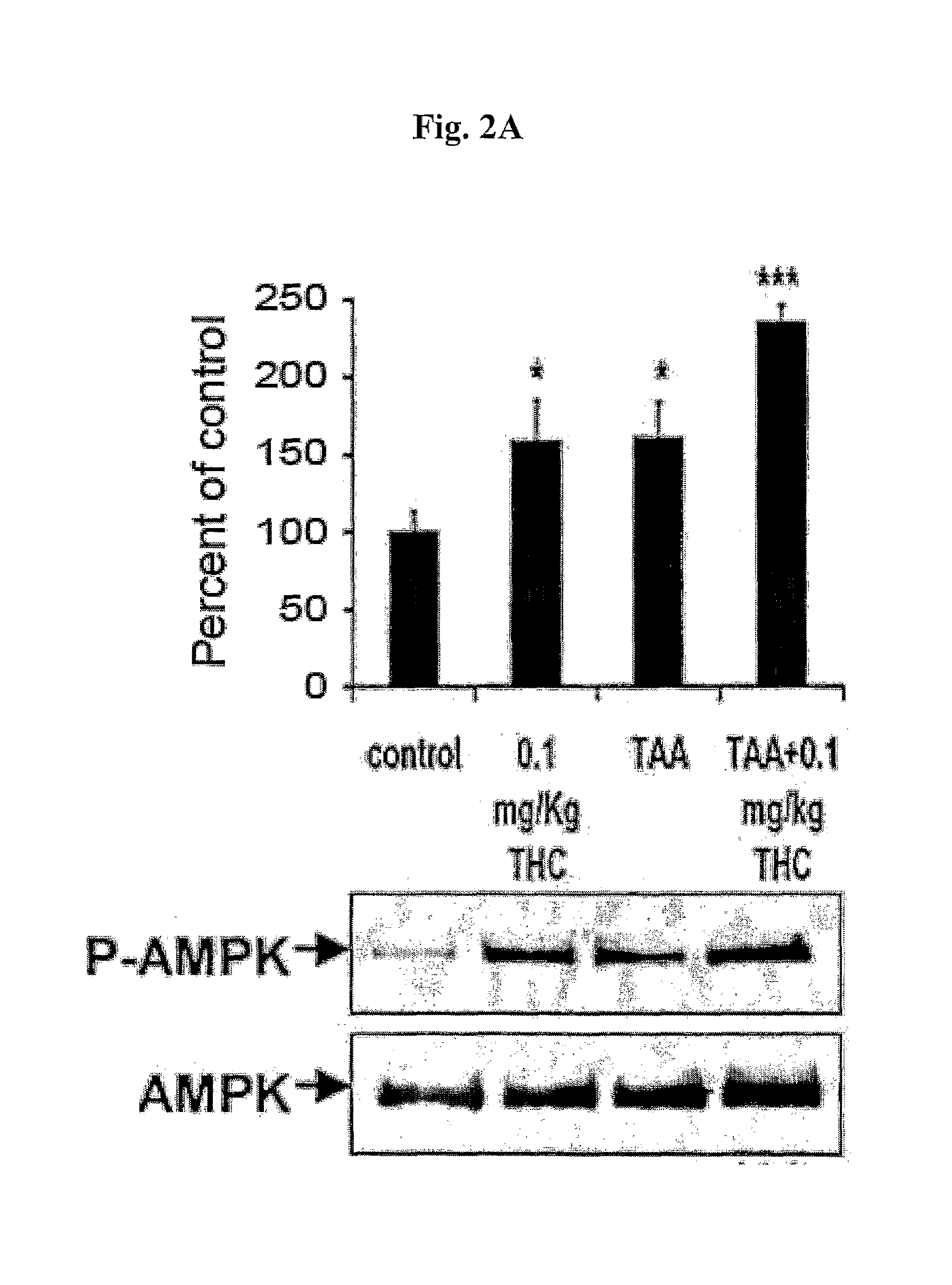 Treatment of hepatic encephalopathy and liver cirrhosis