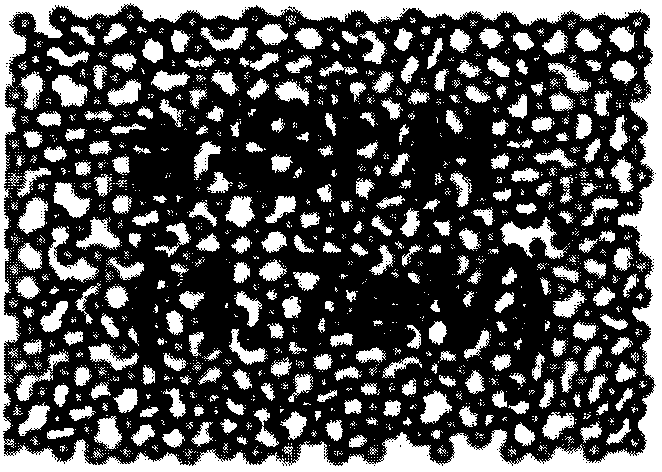 Preparation method of absorption layer of thin film solar cell