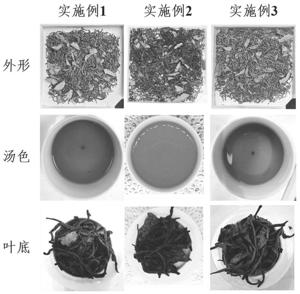 A kind of preparation technology of tangerine peel golden flower green tea with hypoglycemic effect