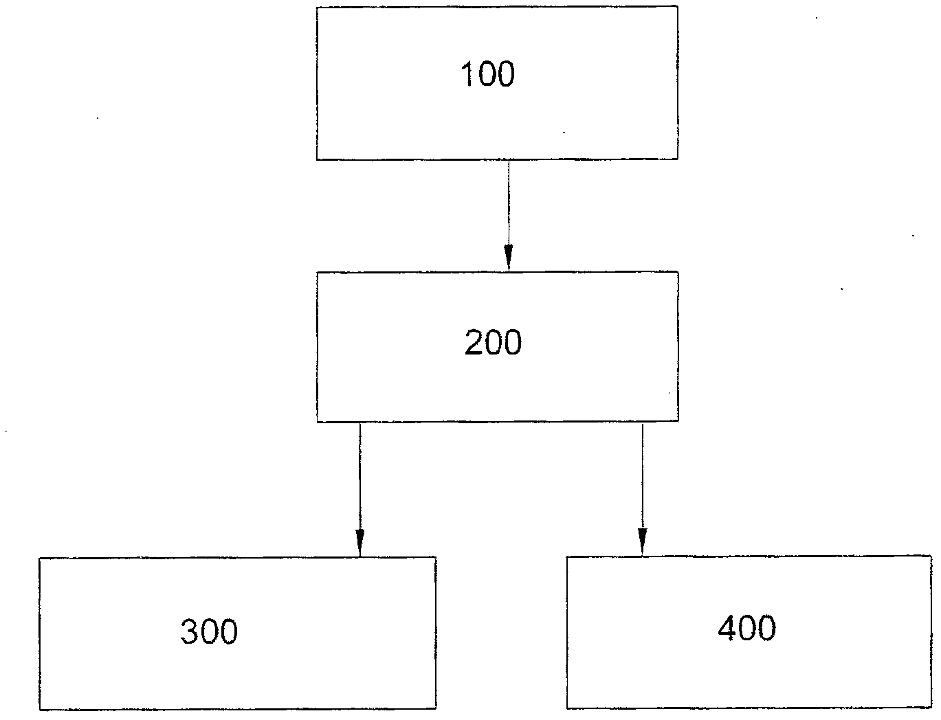 Molten salt treatment system and process