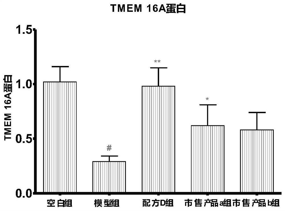 Probiotic composition and application thereof