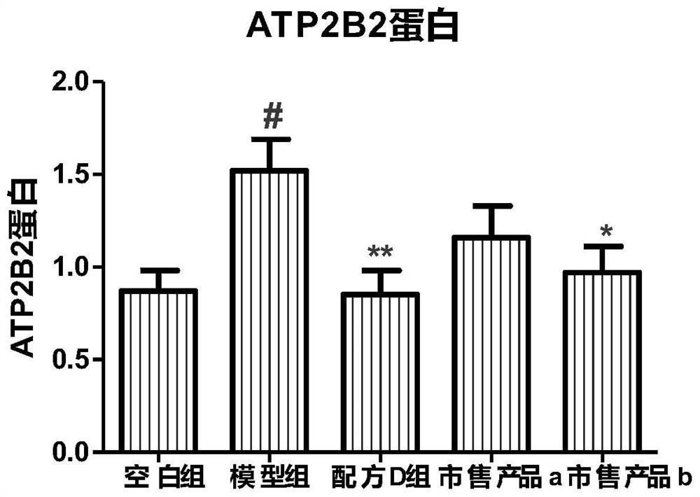 Probiotic composition and application thereof