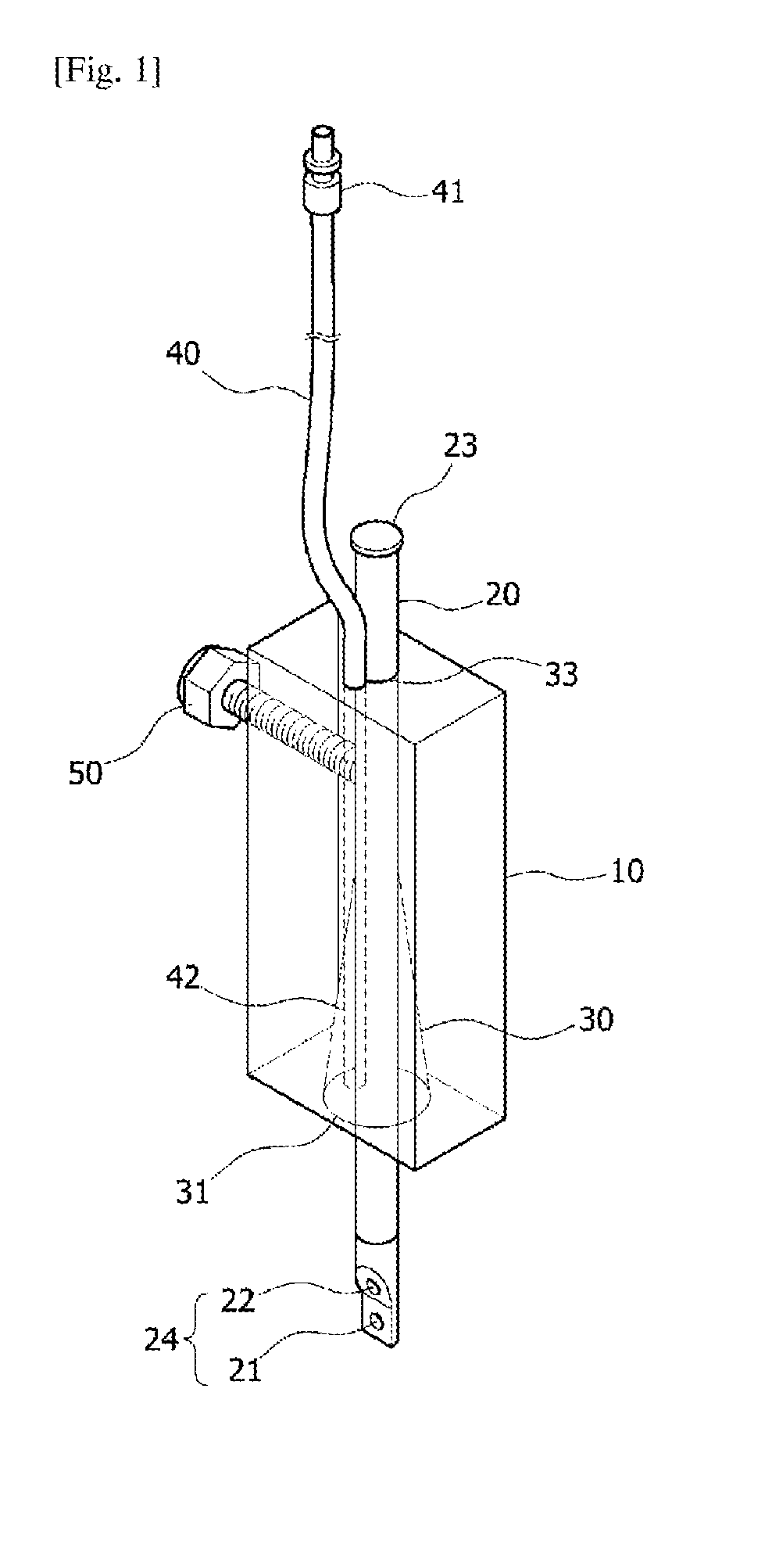 Fixing device for inhalation anesthesia of rodents