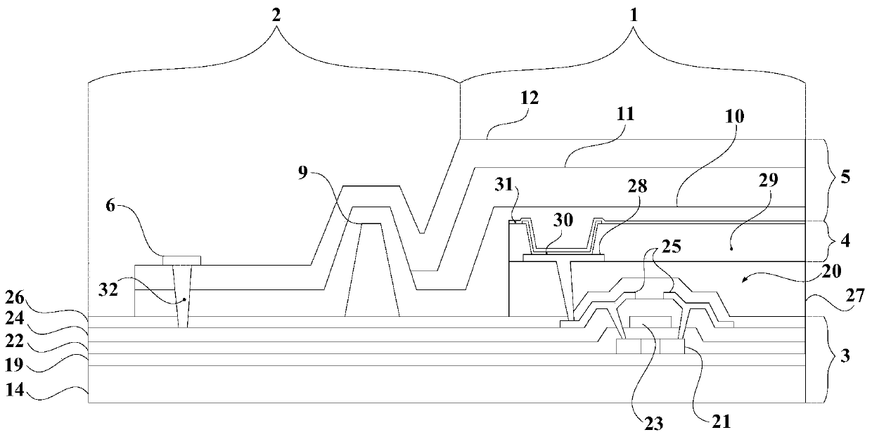 oled display panel and display device