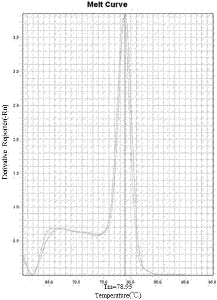 Highly sensitive and specific fluorescent quantitative PCR (Polymerase Chain Reaction) detection system and detection method for HBV (Hepatitis B Virus) pgRNA (pregenome Ribonucleic Acid) in blood