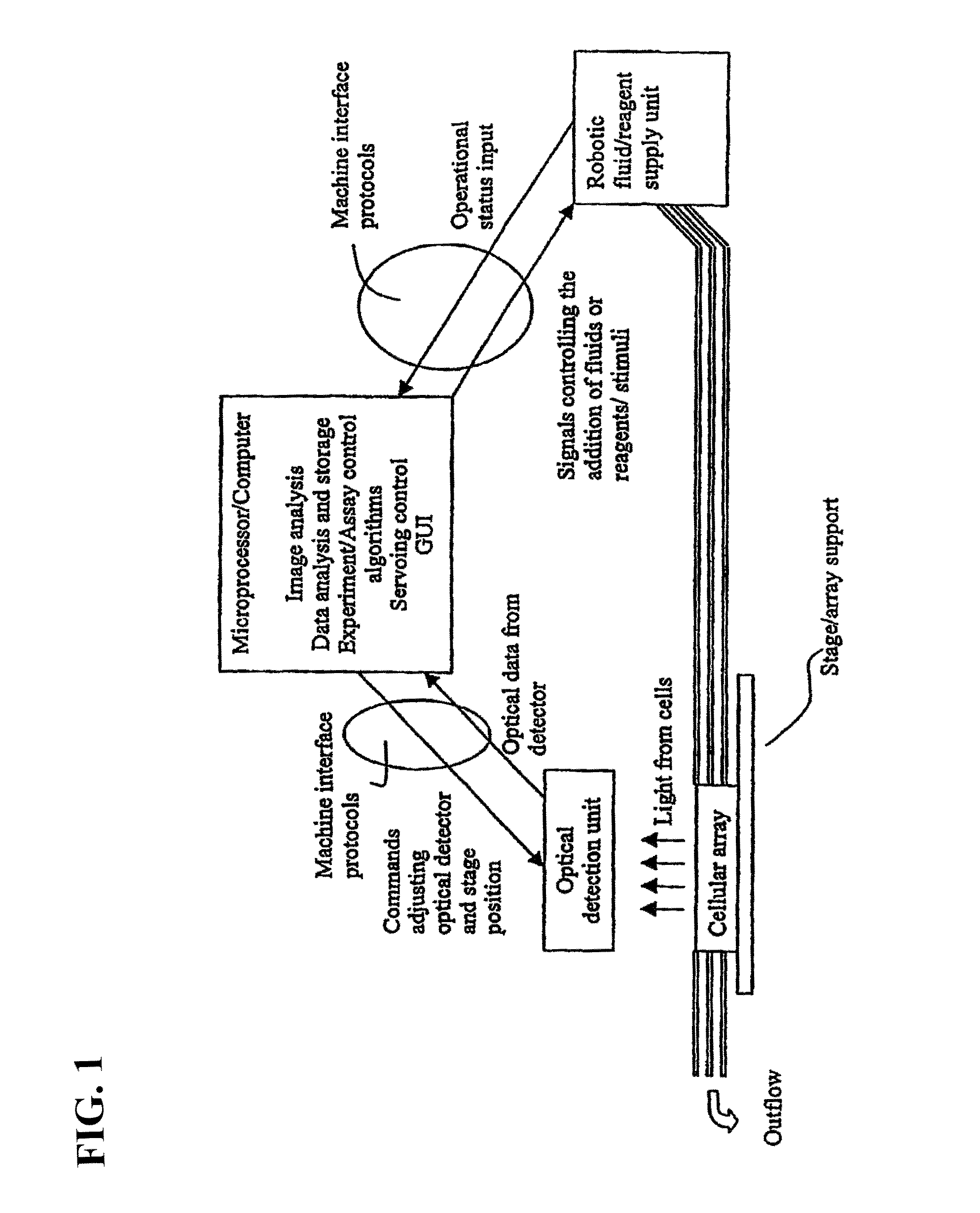 Visual-servoing optical microscopy