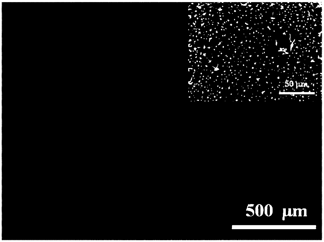 Method for synthesizing metal organic skeleton composite film under action of assisted deposition of catechol compounds