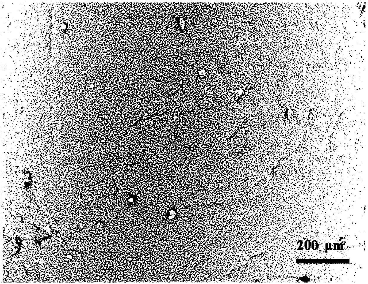 Method for synthesizing metal organic skeleton composite film under action of assisted deposition of catechol compounds