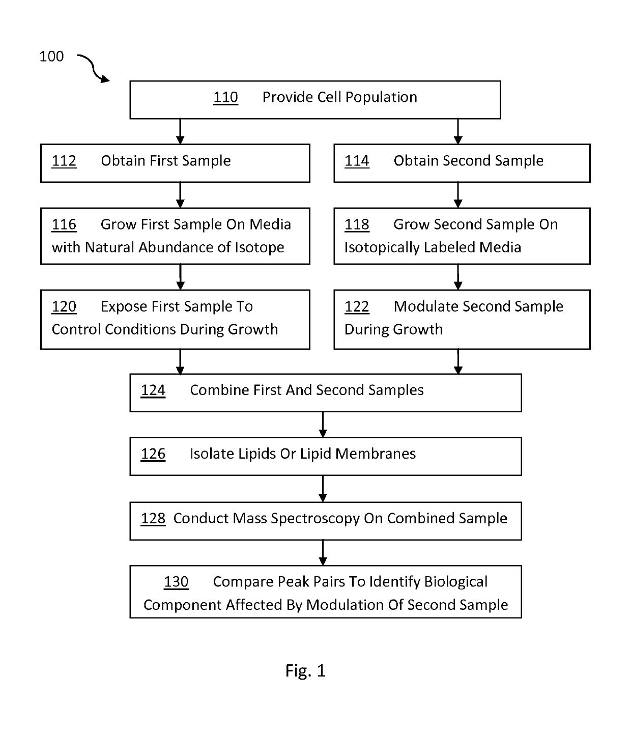 Methods for analyzing lipids and membrane proteins in biological matter using stable isotopes and mass spectrometry