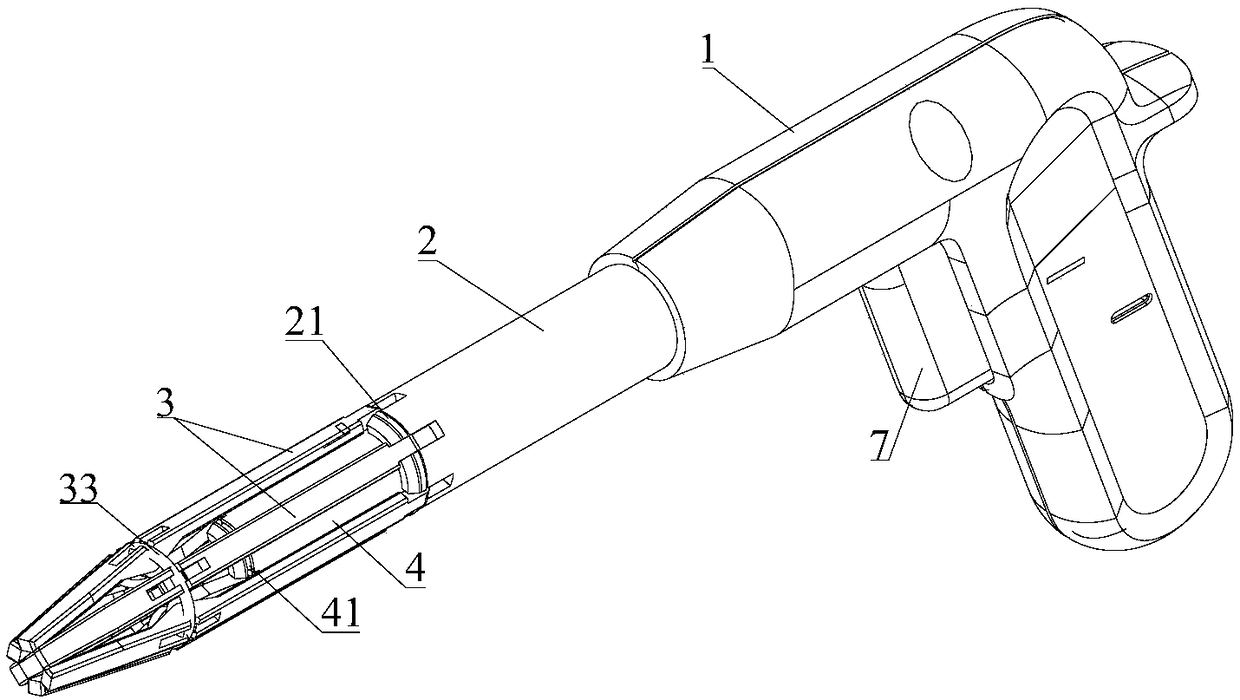 Rectal prolapse measuring apparatus