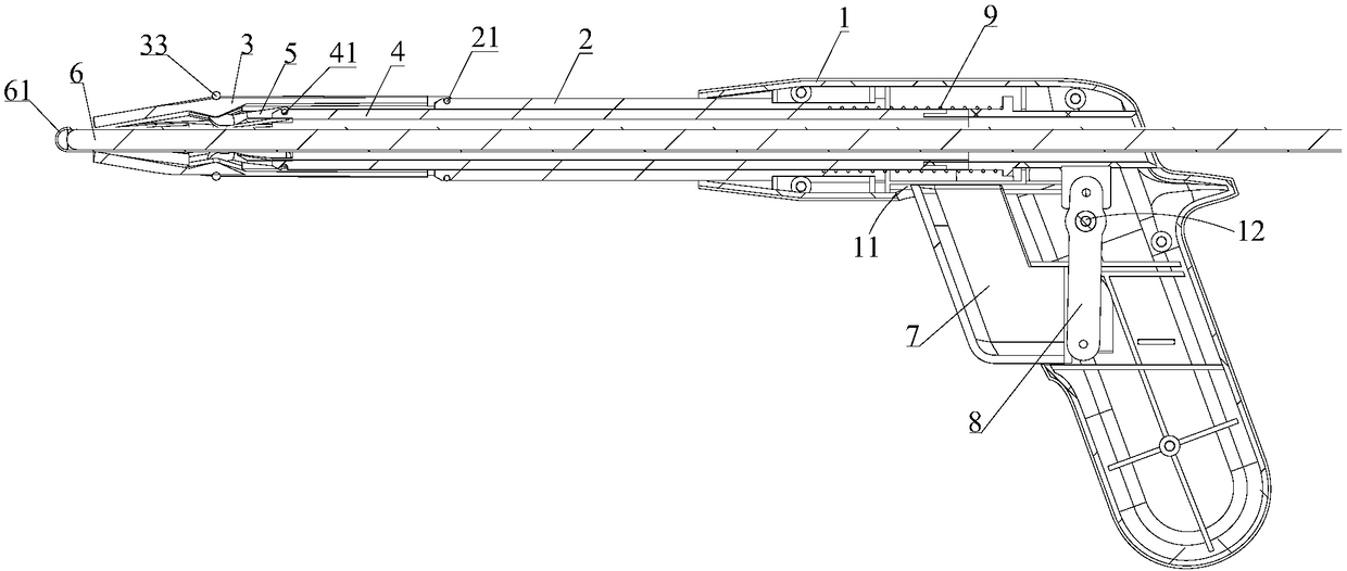 Rectal prolapse measuring apparatus