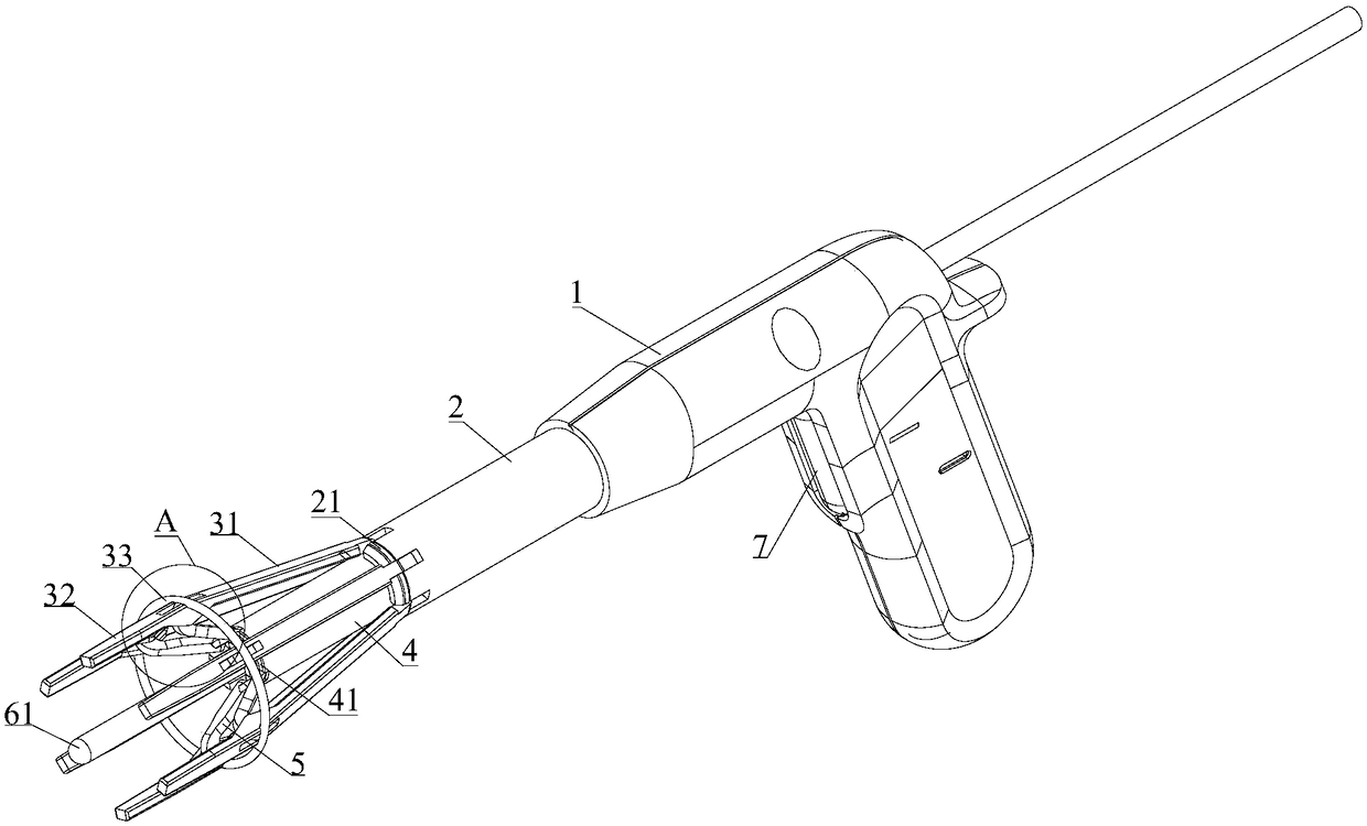 Rectal prolapse measuring apparatus