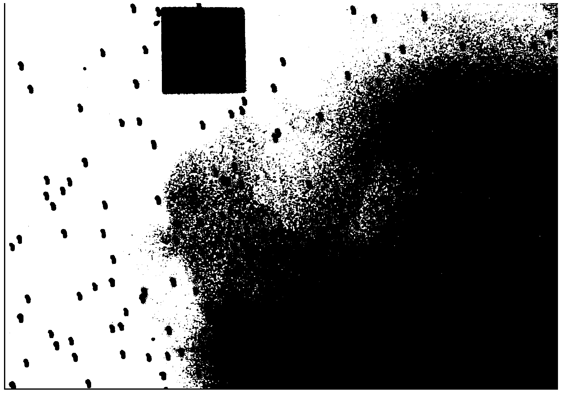 Detection method for particle sizes of atomized droplets of feed liquid