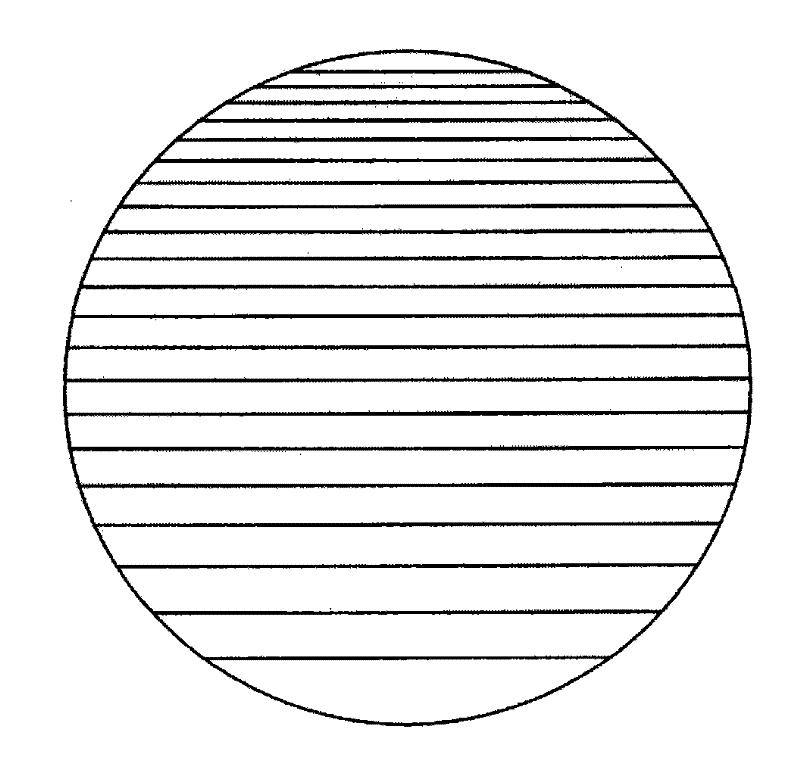 Manufacturing method of graded polarizing liquid crystal light valve