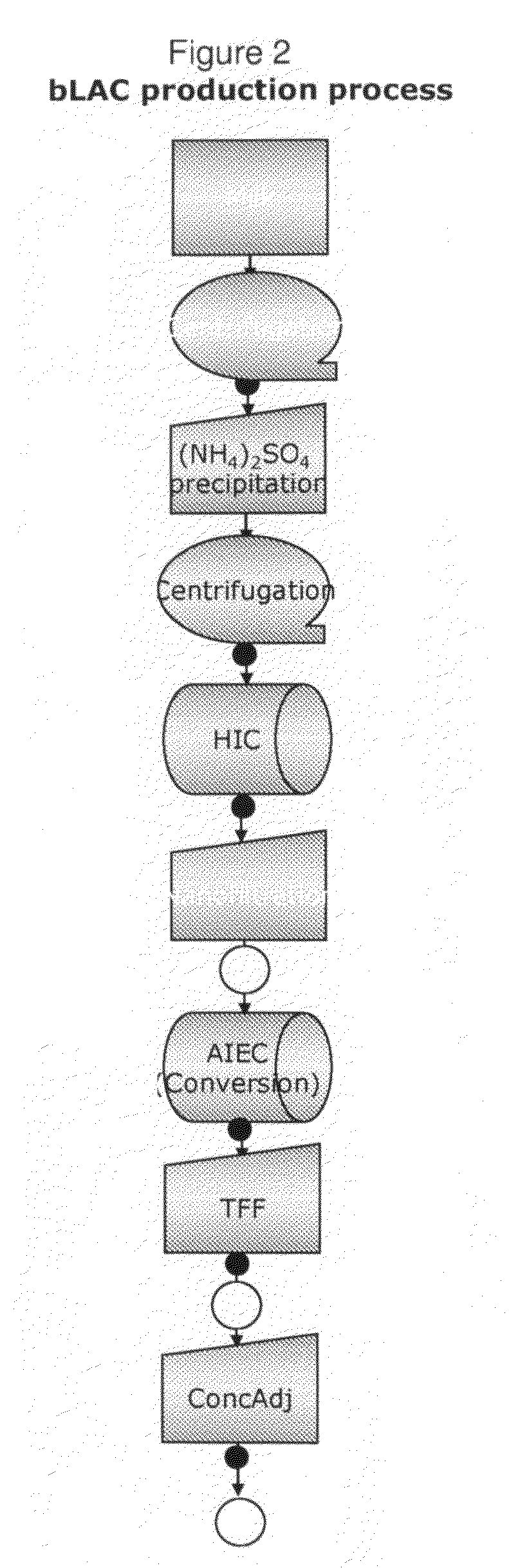 Alpha-lactalbumin composition