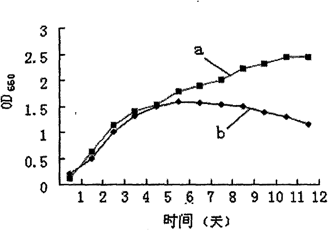 Photosynthetic bacterium enriched culture medium