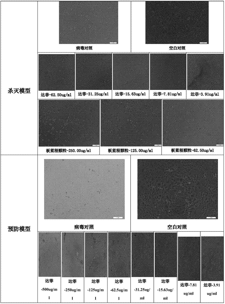 Application of chimonanthus plant in influenza virus resistance