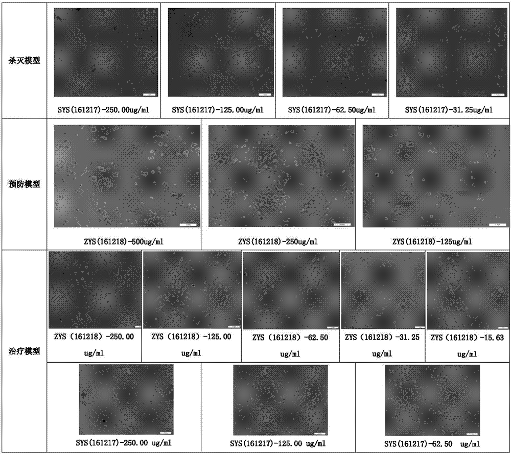 Application of chimonanthus plant in influenza virus resistance