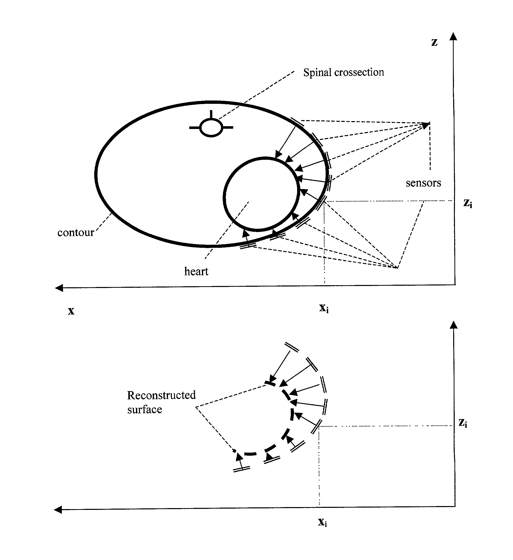 Single or multi-mode cardiac activity data collection, processing and display obtained in a non-invasive manner