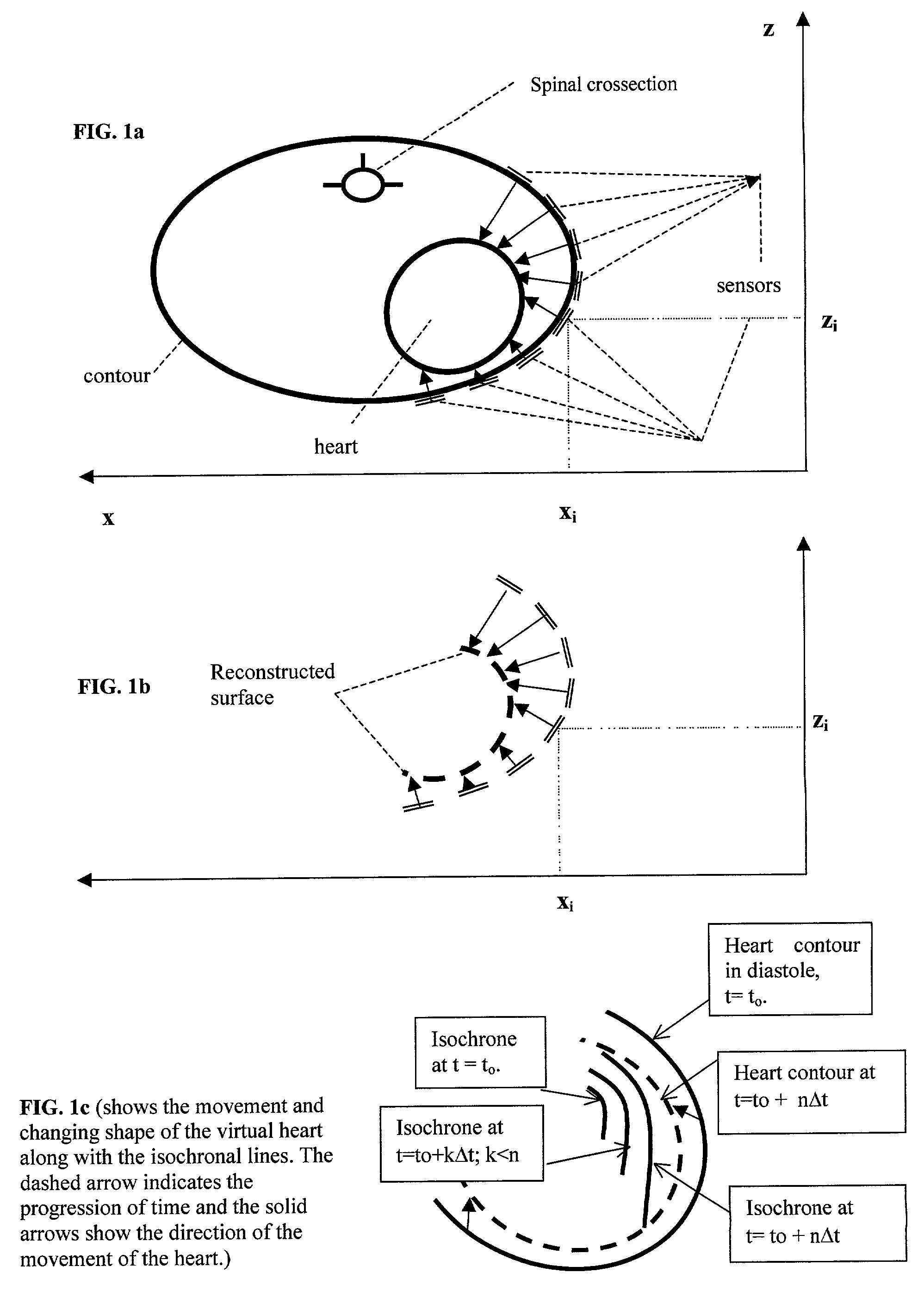 Single or multi-mode cardiac activity data collection, processing and display obtained in a non-invasive manner