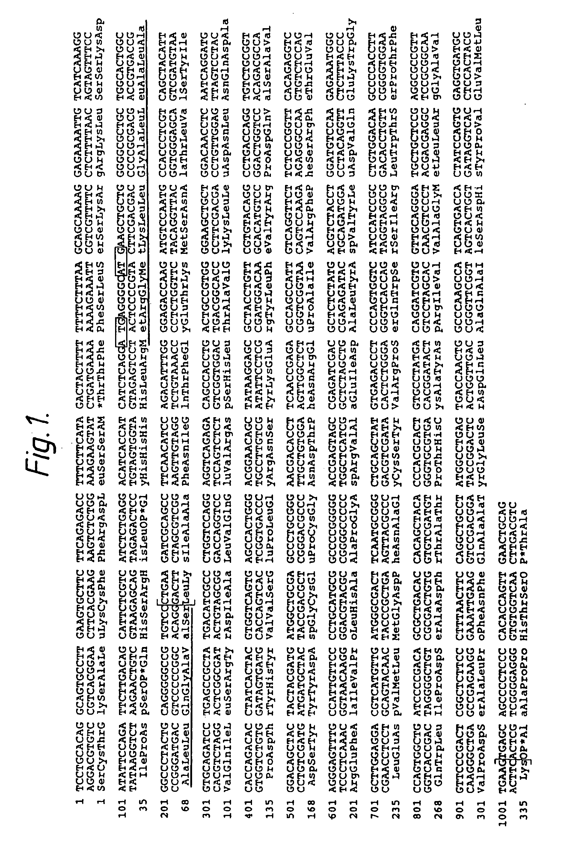 Anti-infective therapy