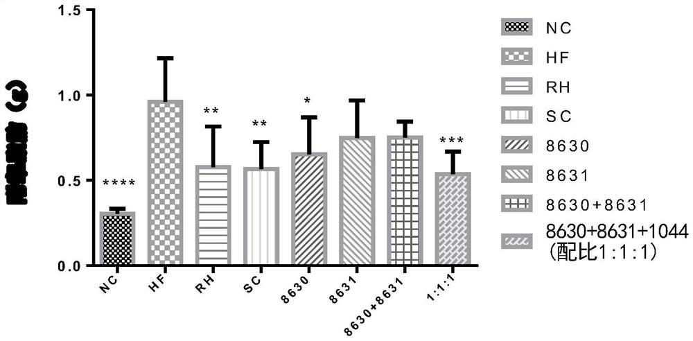 A kind of probiotic composition and its application