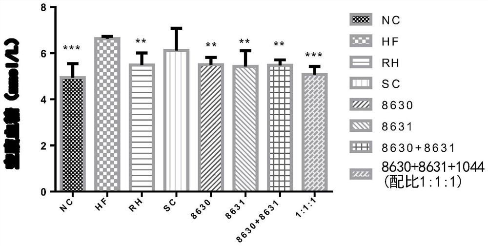 A kind of probiotic composition and its application