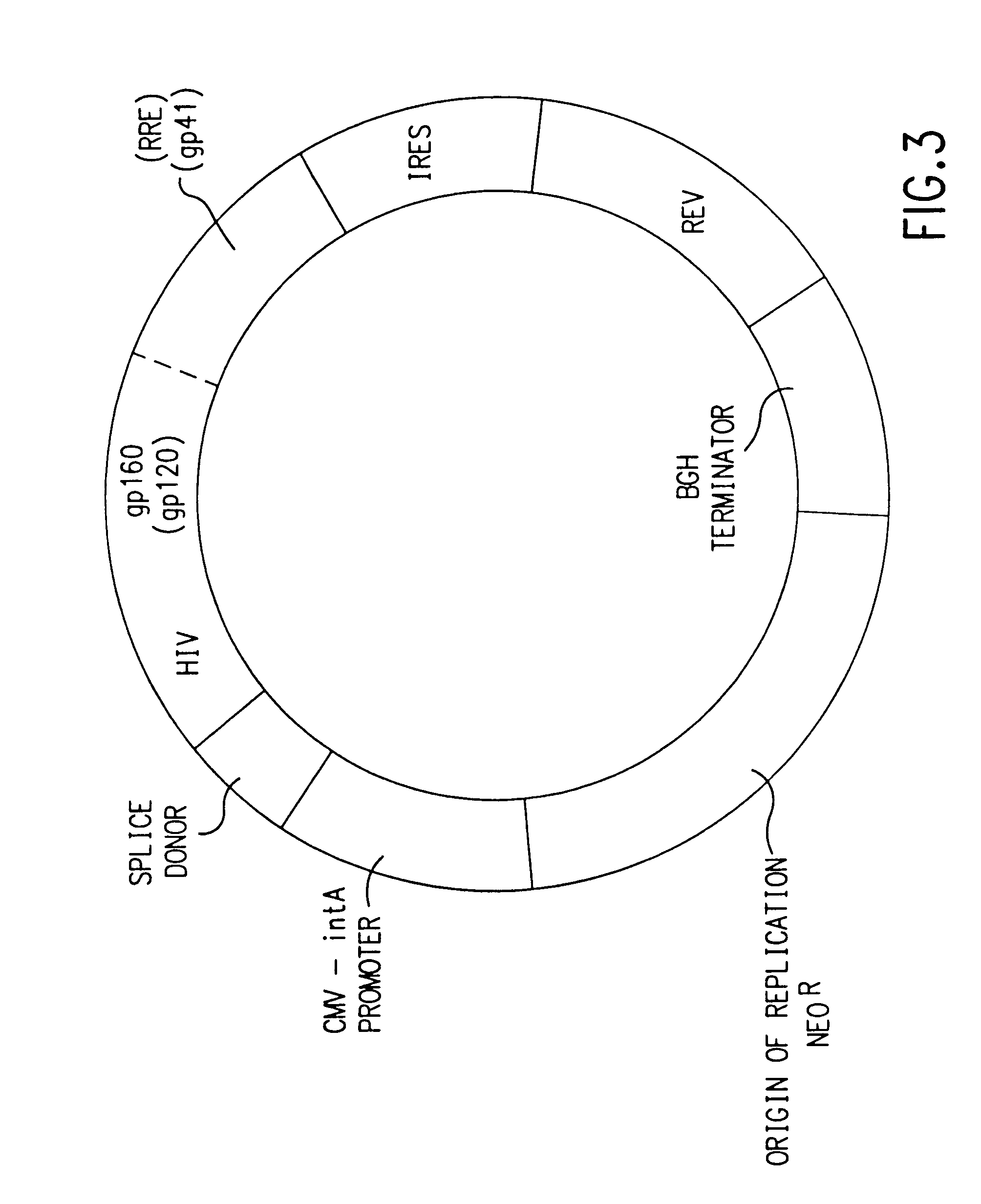 Coordinate in vivo gene expression