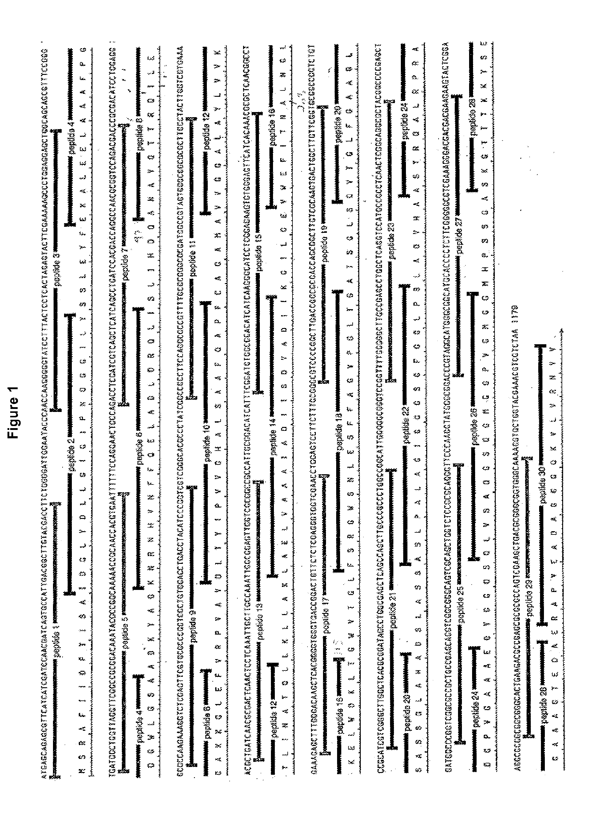 Novel compositions and methods