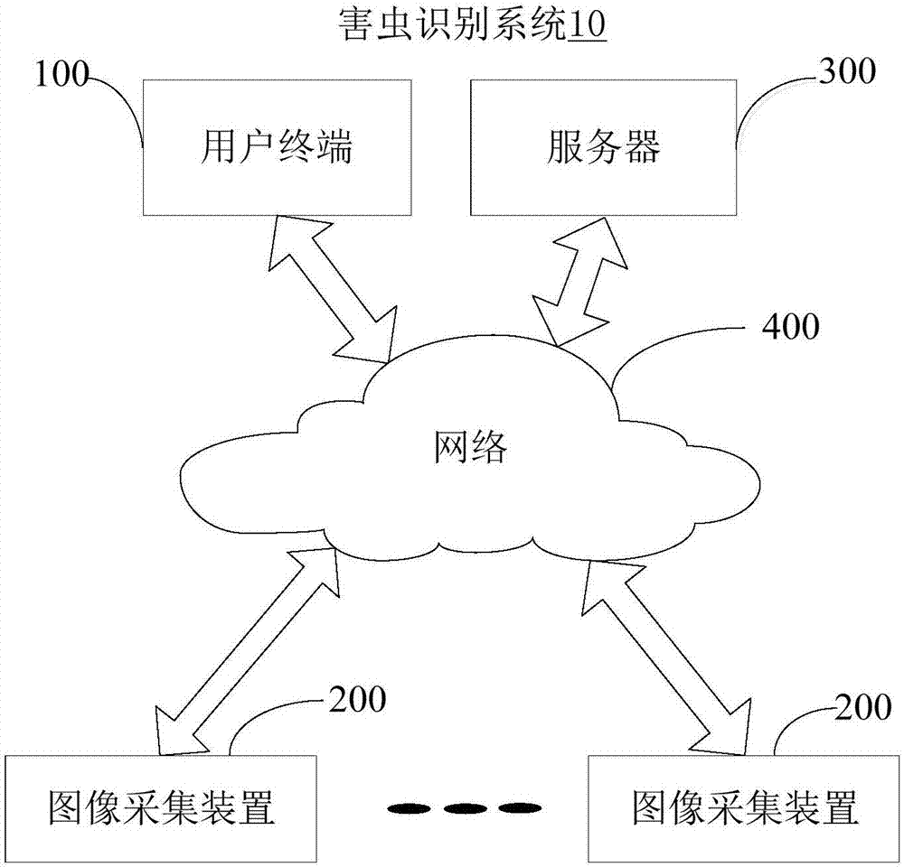 Light trap insect identification counting method and system thereof