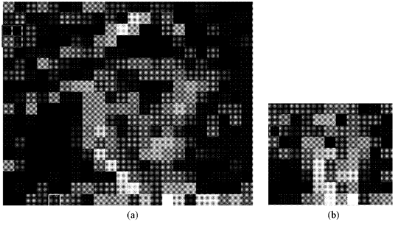 Quick size reduction transcoding method based on region of interest