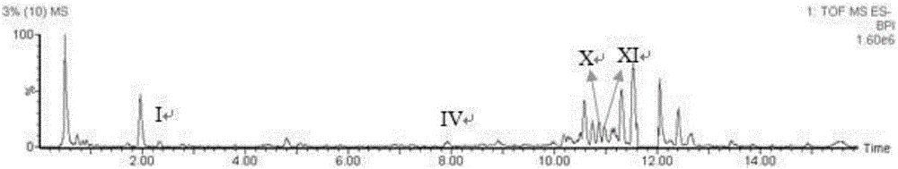 Researching method for stability of salvianolic acid used for injection, and analytical method for degradation pathway of salvianolic acid