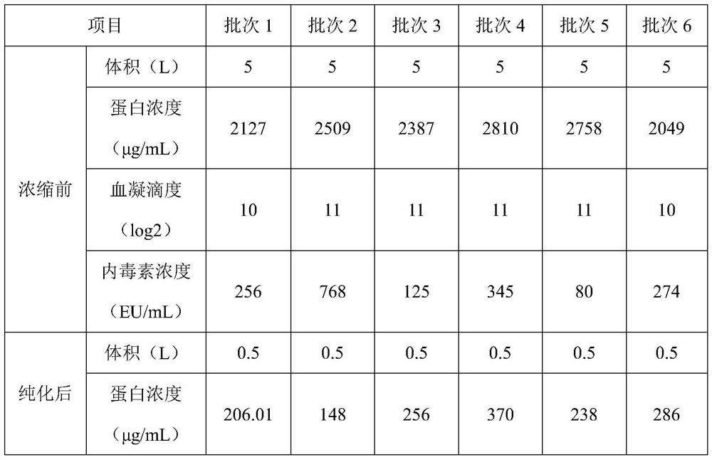 A method for concentrating and purifying avian influenza antigen, and avian influenza antigen