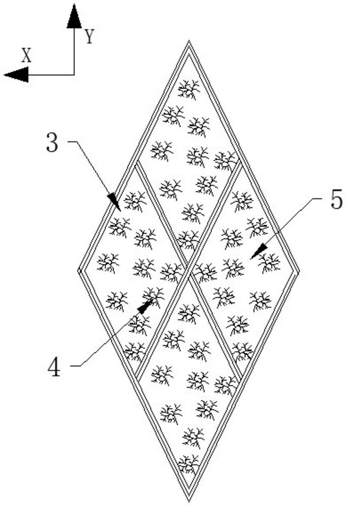 Down jacket with double-layer down locking structure