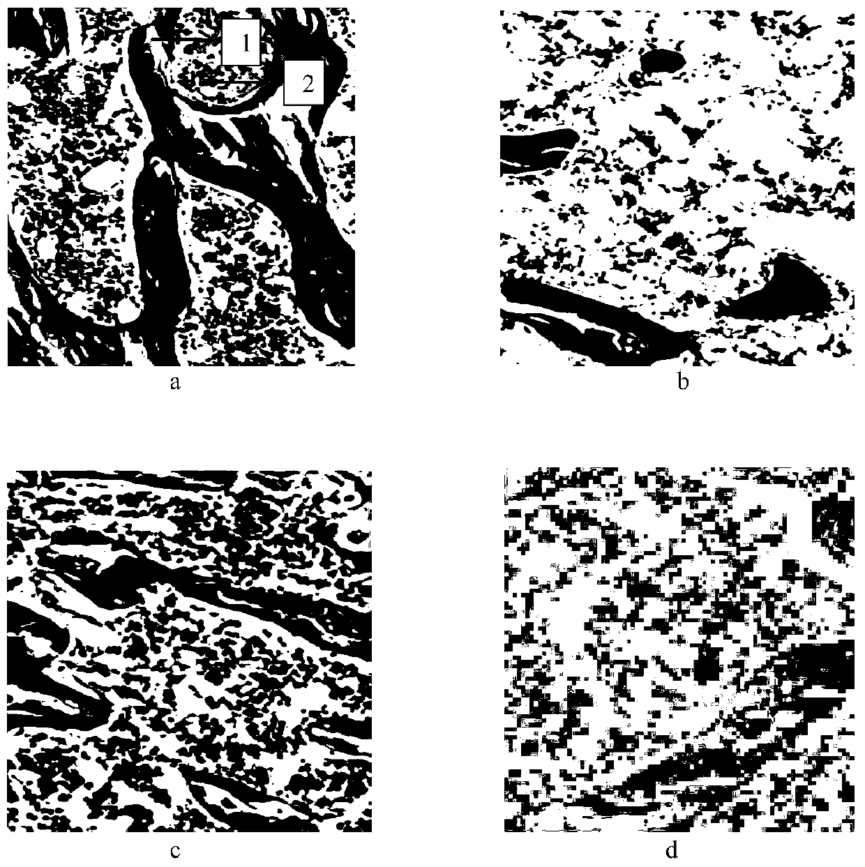 Traditional Chinese medicinal composition with function of improving bone health and preparation method thereof