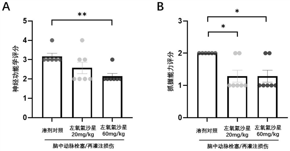 Application of levofloxacin or pharmaceutically acceptable salt thereof in preparation of anti-cerebral ischemia-reperfusion injury medicine or health product