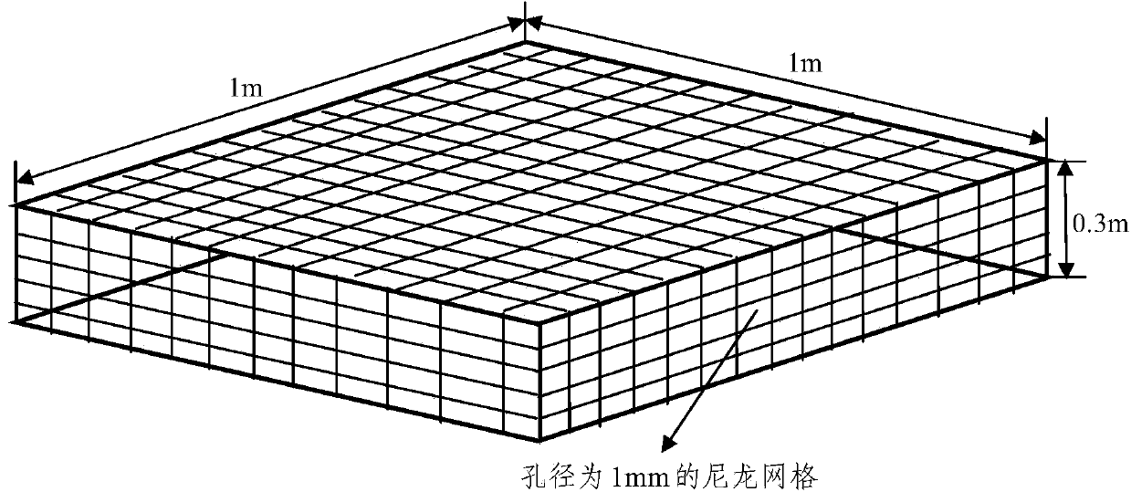 Method for measuring contribution rate of forest litters to nitrification and denitrification of soil